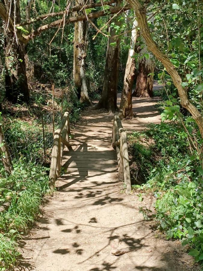 Casa Sendero Del Rio Villa El Bosque Eksteriør bilde