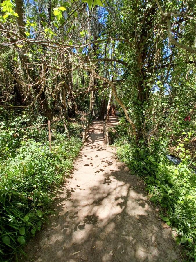 Casa Sendero Del Rio Villa El Bosque Eksteriør bilde